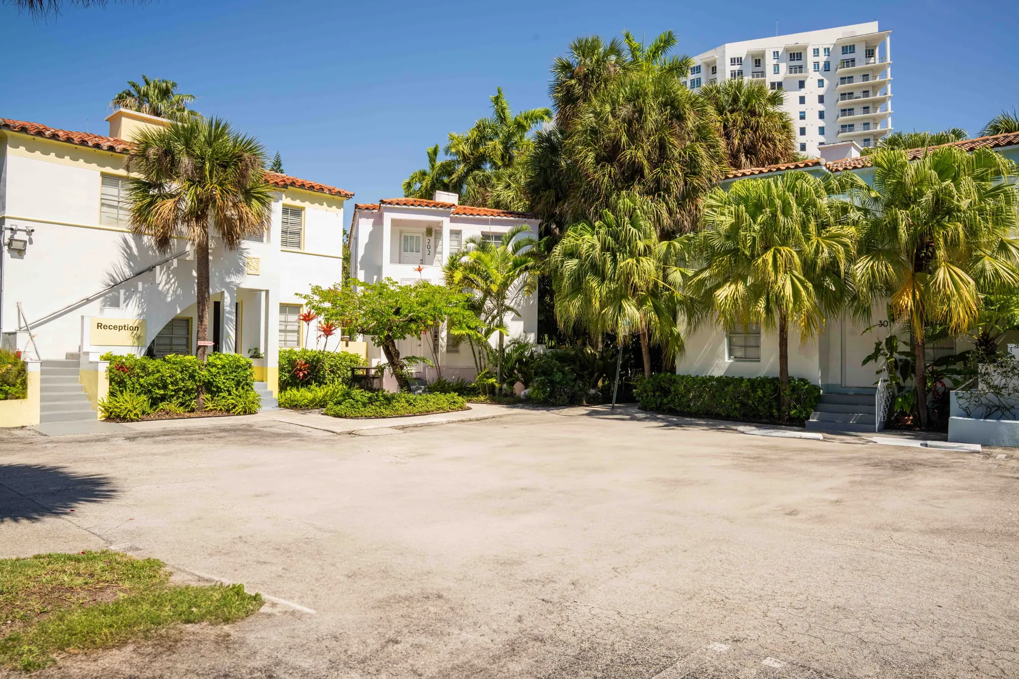Inside the gate - the drive and the houses under the palms